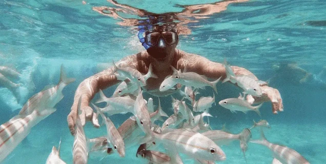 agencia de viagens com excursão para praia grande com diversas agencias de viagem cadastradas.